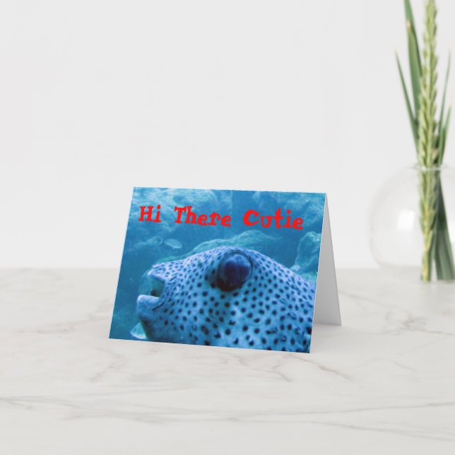 Cutie Fish Note Card (Front)