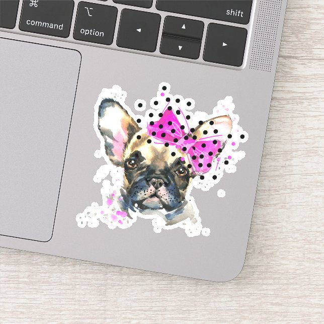 Cutie French Bull Dog (Detail)