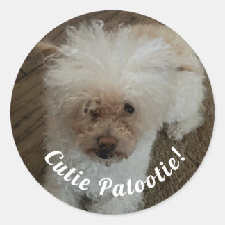 Cutie Patootie Classic Round Sticker