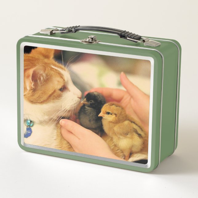 Cuties Metal Lunch Box (Front)