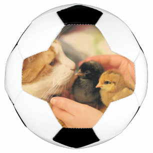 Cuties   soccer ball