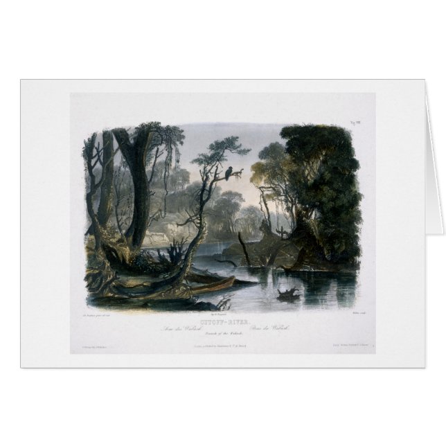 Cutoff River, Branch of the Wabash, plate 8 from V (Front Horizontal)