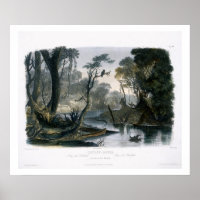 Cutoff River, Branch of the Wabash, plate 8 from V