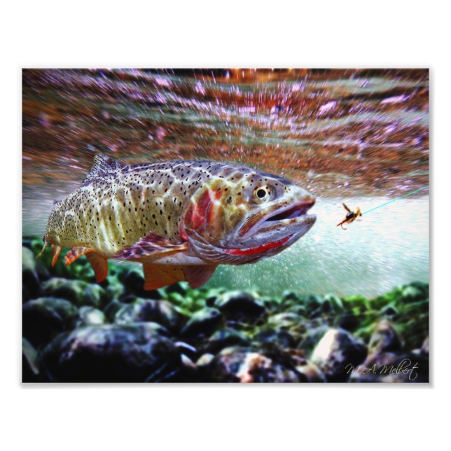 CUTTHROAT TROUT PHOTO PRINT (Front)