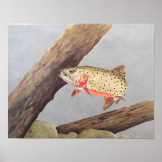 Cutthroat Trout Poster