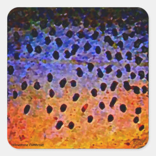 Cutthroat Trout - Stickers