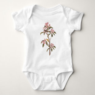 Cuvier's Kinglet Audubon Bird on Pink Flower Baby Bodysuit