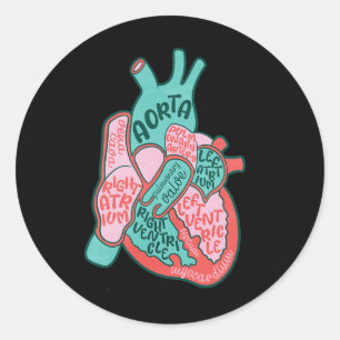Cvicu Cardiac Nurse Human Heart Anatomy Cardiology Classic Round Sticker
