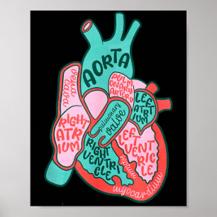 Cvicu Cardiac Nurse Human Heart Anatomy Cardiology Poster