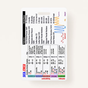 CVICU SICU ICU Badge Buddy