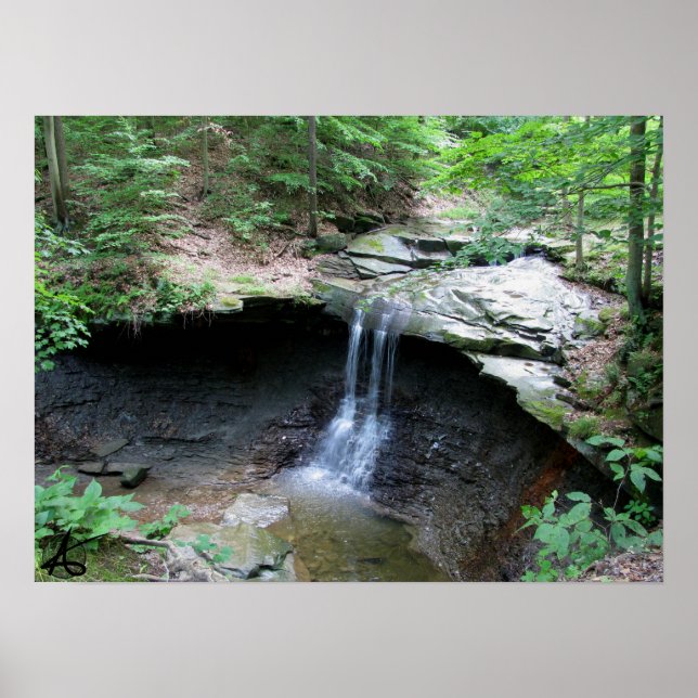 CVNP - Blue Hen 2010 Poster (Front)