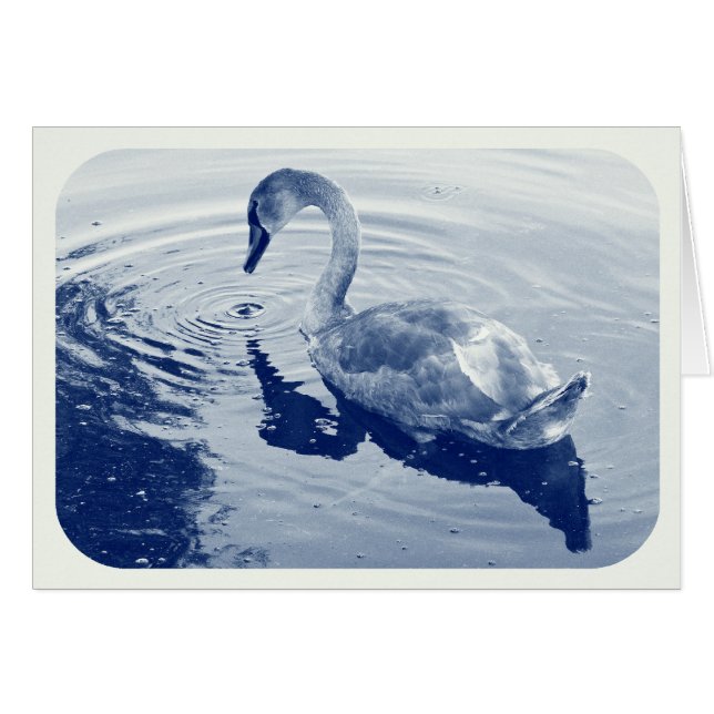 Cyanotype numérique (Devant horizontal)