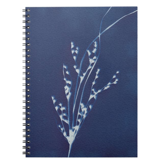 Cyanotype Print Grass Blue and White Notebook (Front)