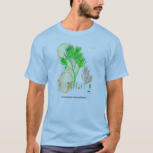 CYCAD Podocarpus Print Shirt (Front)