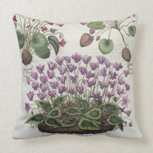 Cyclamen: 1.Cyclamen serotinum foliis hederaceis; Throw Pillow