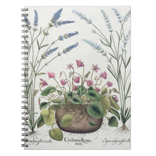 Cyclamen and Lavender: 1.Cyclamen Romanum; 2.Spica Notebook