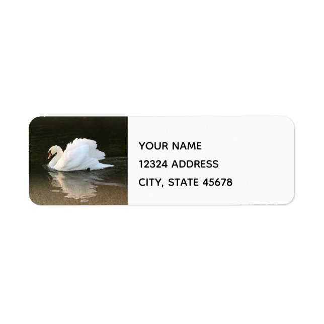 Cygne aquarelle (Devant)