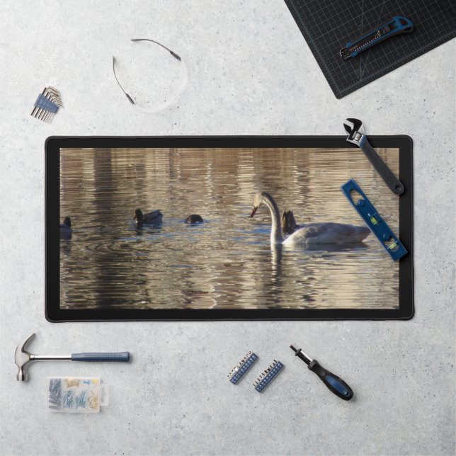 Cygne blanc dans Mallard Canards Mat (Poste de travail)