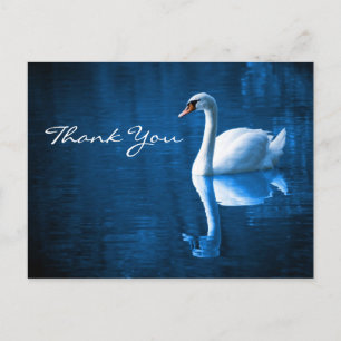 Cygne blanc sur Blue Waters Merci carte postale