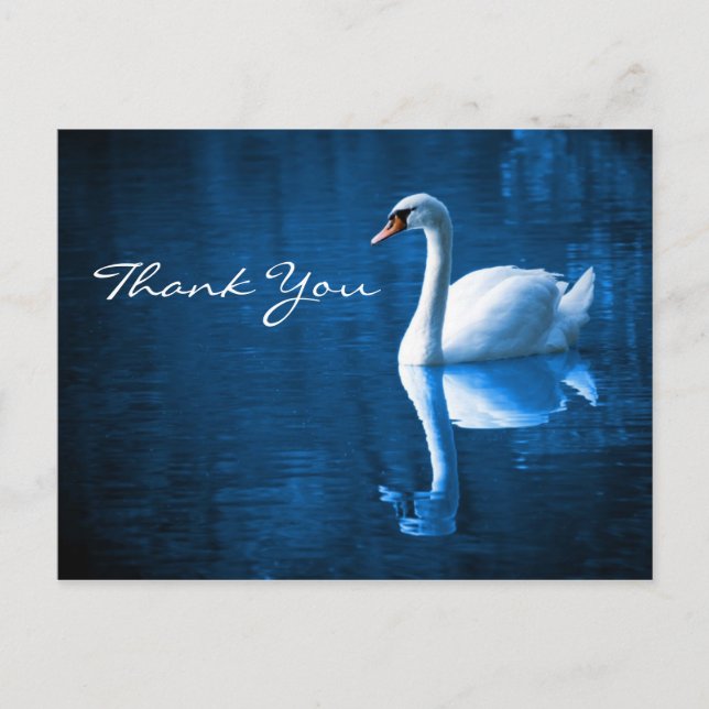 Cygne blanc sur Blue Waters Merci carte postale (Devant)
