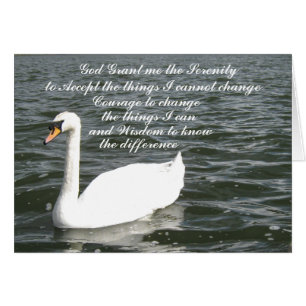 Cygne de prière de sérénité