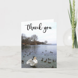 Cygne et canards sur le lac Carte de remerciements