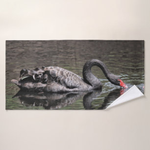 Cygne noir