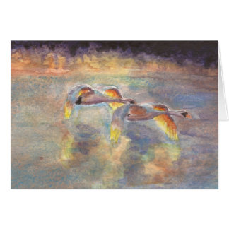 Cygnes dirigés à la maison au coucher du soleil