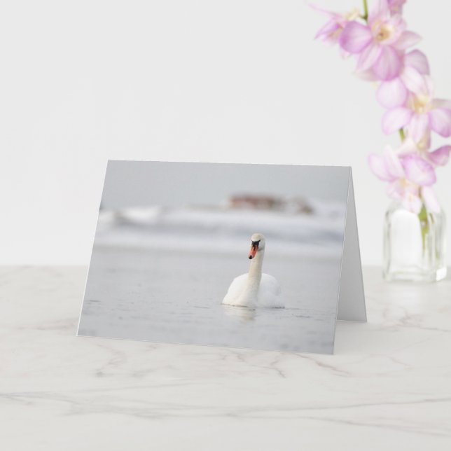 Cygnes muets nageant dans l'eau glacée carte de vo (Orchidée)