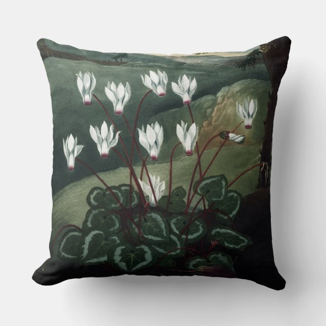Cyklamen pillow complete painting (Front)