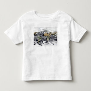 Cylindrical equidistant projection toddler t-shirt