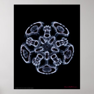 Cymatics: Music Note C Poster