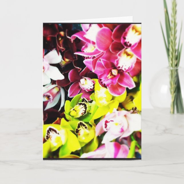 Cymbidium Orchids Blank Greeting Cards (Front)