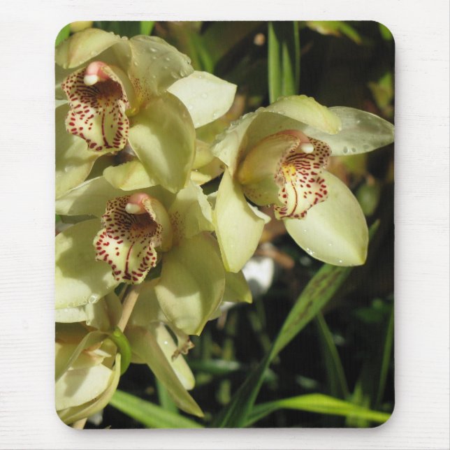Cymbidium Orchids mousepad (Front)
