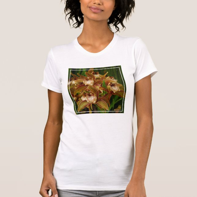 Cymbidium tracyanum T-Shirt (Front)