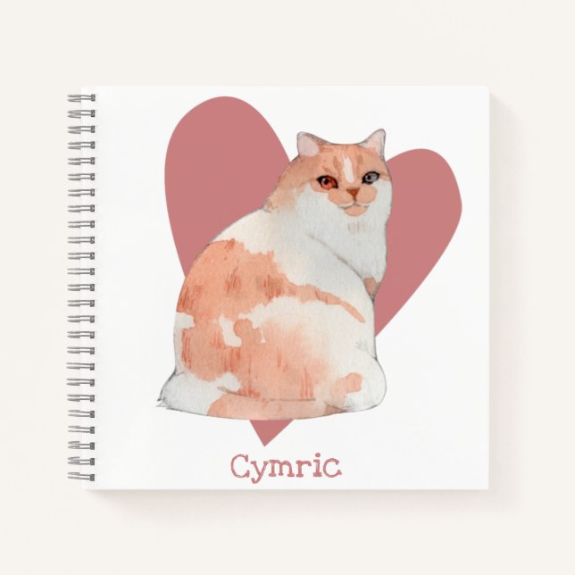Cymric Cat Watercolor Kitty Pink Heart Journal (Front)