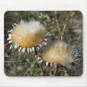 Cynara cardunculus mouse pad