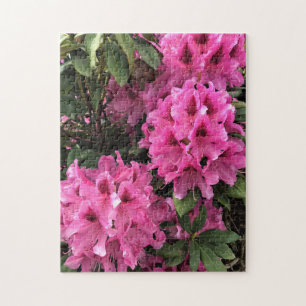 Cynthia Rhododendrons, Oregon Jigsaw Puzzle