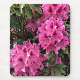 Cynthia Rhododendrons, Oregon Mouse Pad