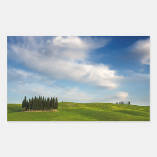 Cyprès en Toscane autocollant rectangulaire