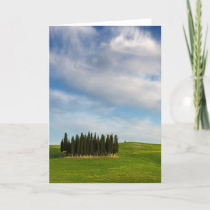 Cyprès en Toscane carte de voeux verticale
