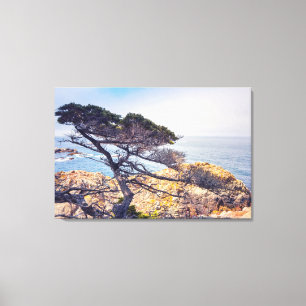 Cypress by The Sea Canvas Print