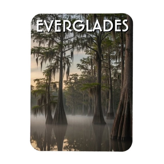 Cypress Dome Everglades National Park Florida Magnet (Vertical)