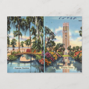 Cypress gardens, singing tower Florida Postcard