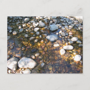 Cypress Hills, Alb. Canada Postcard