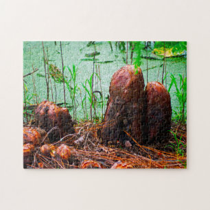Cypress Knees Bayou Louisiana. Jigsaw Puzzle
