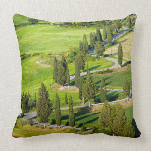 Cypress lined winding road in Tuscany throw pillow