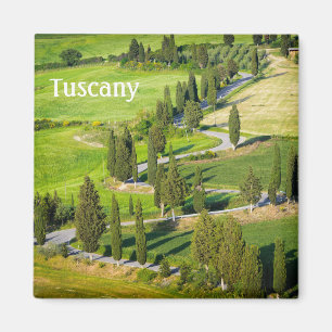 Cypress lined winding road in Tuscany with text Magnet