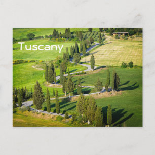 Cypress lined winding road, Tuscany text postcard