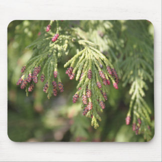 cypress pink flowering mouse pad